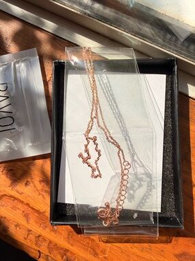 Rose Gold Leo Chain Necklace